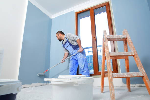 Professional Mold Removal in Sterling City, TX